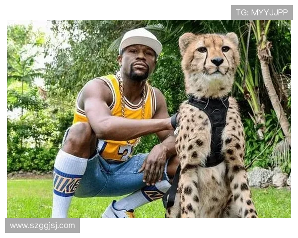 梅威瑟九年后强势复出再战泰森